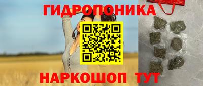 молекула духа Берёзовский