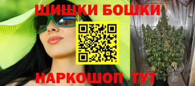 крисы Бийск