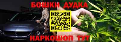 крисы Бийск