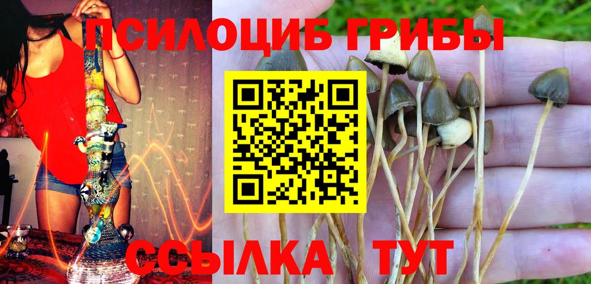 Псилоцибиновые грибы прущие грибы  Вход с VPN  Псилоцибиновые грибы Psilocybine cubensis  закладки  Изобильный 